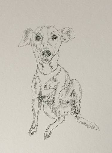 Emmeline, a Jack Russell thumb