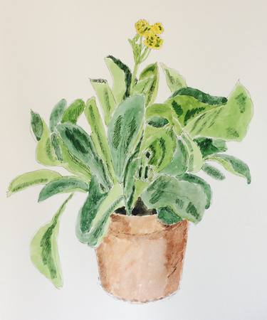 Original Figurative Botanic Paintings by Pernille Harttung