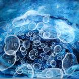Collection rhapsody  in blue 