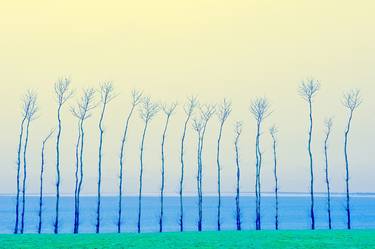 Original Landscape Photography by Tadeusz Parafiniuk