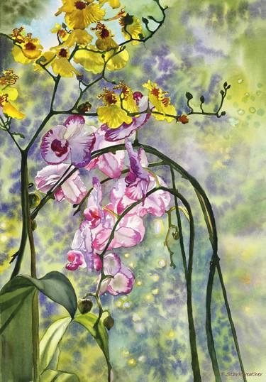 Print of Fine Art Floral Paintings by Teri Starkweather