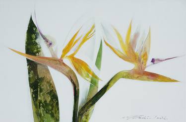 Original Fine Art Botanic Paintings by Frances Schandera-Duarte