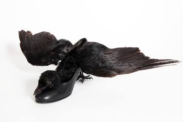 Come, black bird.... (2012) thumb