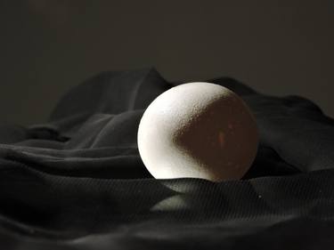 Original Abstract Nature Photography by Raquel Sarangello
