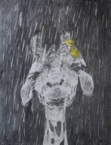 Original Expressionism Animal Drawings by Amanda Robblee