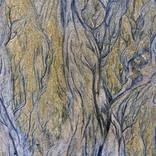 Sand 002 - Limited Edition 1 of 5 by Ovidijus Talijunas