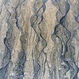 Sand 003 - Limited Edition 1 of 5 by Ovidijus Talijunas