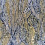 Sand 004 - Limited Edition 1 of 5 by Ovidijus Talijunas
