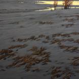 Collection Art for the Design Enthusiast