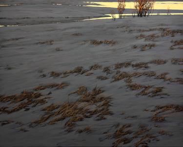 Original Realism Nature Paintings by Oleh Dron