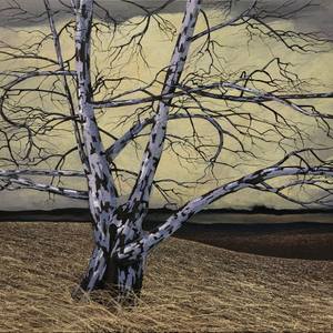 Collection Earthy Hues