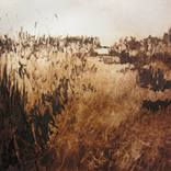 Everglade by Alethea Maguire