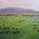 An Ghaeltacht by Alethea Maguire