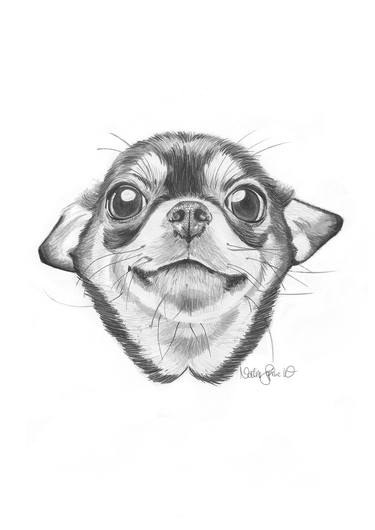 Print of Dogs Drawings by Nadine Sophie Waiblinger