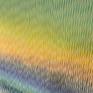 Fragment of the picture