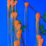 The Apricot Tree #3 by Michael Jiroch