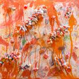 Peachgasm on White by Michael Jiroch