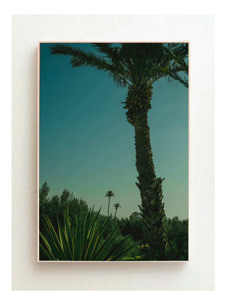Original Modernism Nature Photography by Eszter Papp