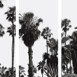 Jungle Tryptich by Eszter Papp
