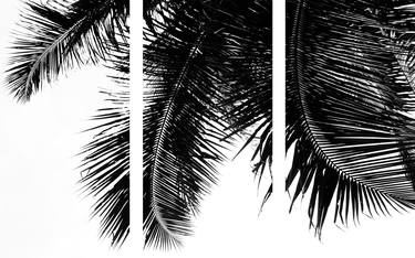 Tropical triptych - Limited Edition 3 of 20 thumb