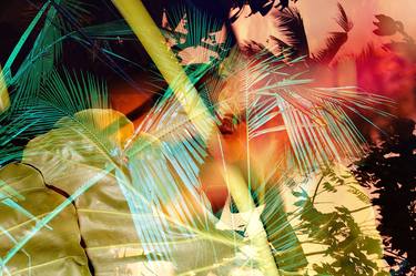 Saatchi Art Artist Eszter Papp; Photography, “Imagined jungles - Limited Edition 2 of 15” #art