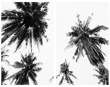 Tropical diptych 2 - Limited Edition of 20 Photograph thumb