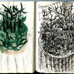 Collection Sketchbooks