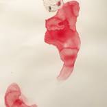 Collection Spotlight on LA