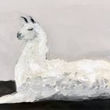 Lying Llama by Jonathan Rozo