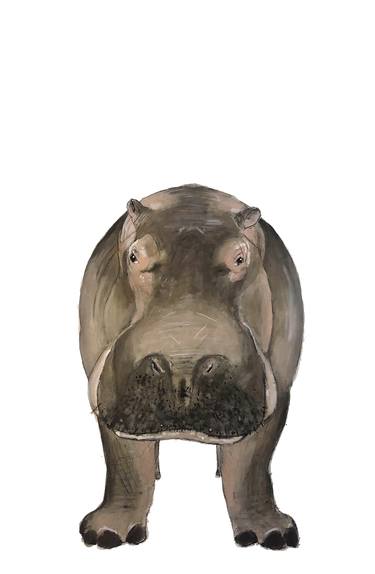 Hippopotamus thumb