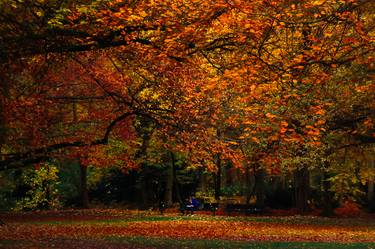 Print of Realism Nature Photography by Steven Clouston