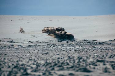 Print of Realism Nature Photography by Steven Clouston