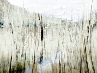 Original Abstract Landscape Photography by Michael Regnier