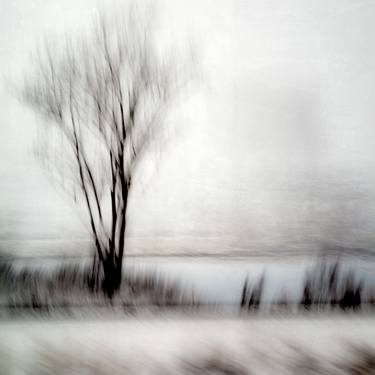 Original Abstract Landscape Photography by Michael Regnier