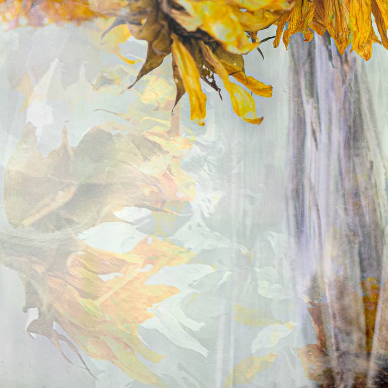Original Abstract Floral Photography by Michael Regnier