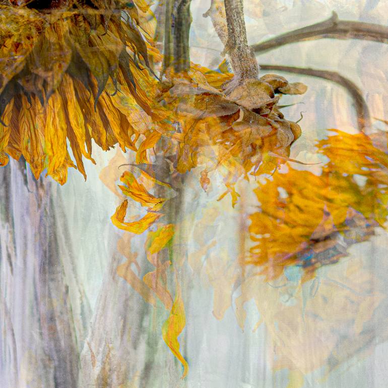 Original Abstract Floral Photography by Michael Regnier