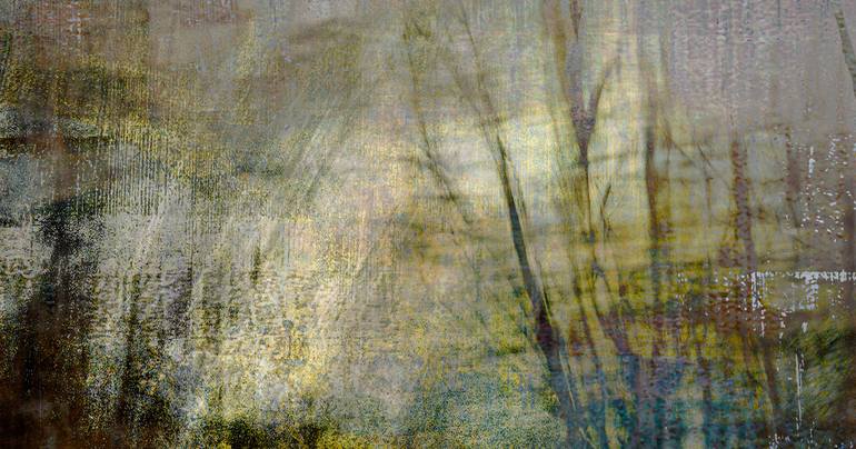 Original Abstract Landscape Photography by Michael Regnier