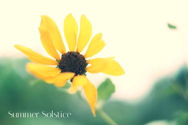 Summer Solstice - Limited Edition 1 of 1 thumb