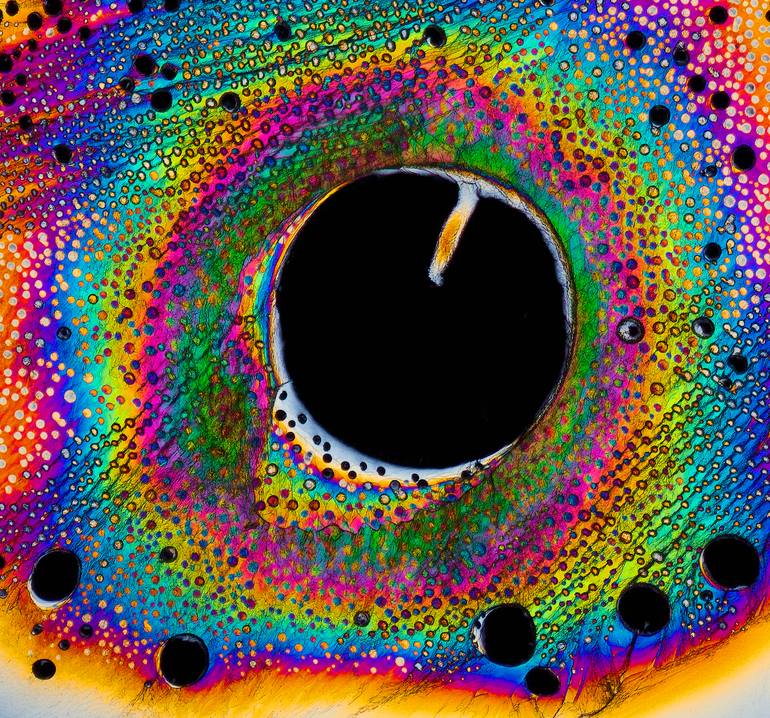 Original Conceptual Abstract Photography by Antonio Romero