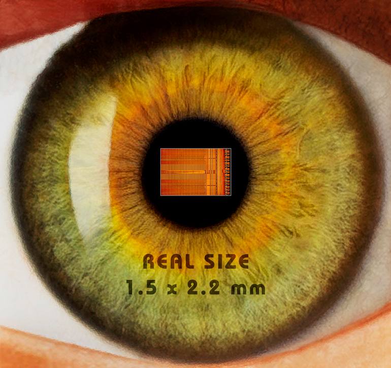 Original Abstract Patterns Photography by Antonio Romero