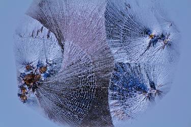 Original Conceptual Abstract Photography by Antonio Romero