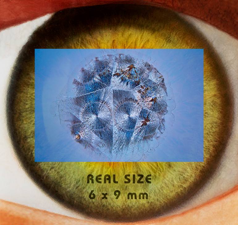 Original Abstract Patterns Photography by Antonio Romero