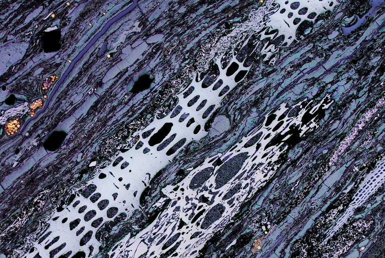 Original Conceptual Nature Photography by Antonio Romero