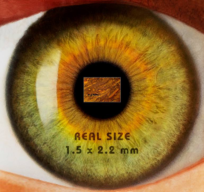 Original Conceptual Science/Technology Photography by Antonio Romero