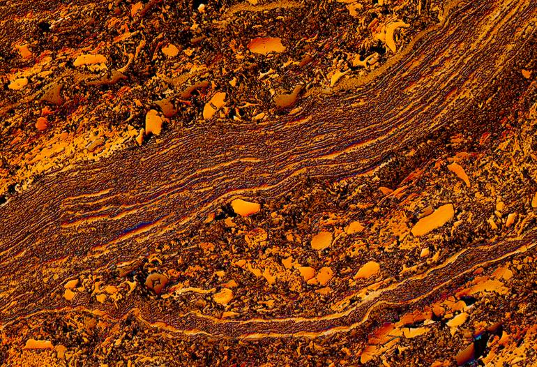 Original Conceptual Science/Technology Photography by Antonio Romero