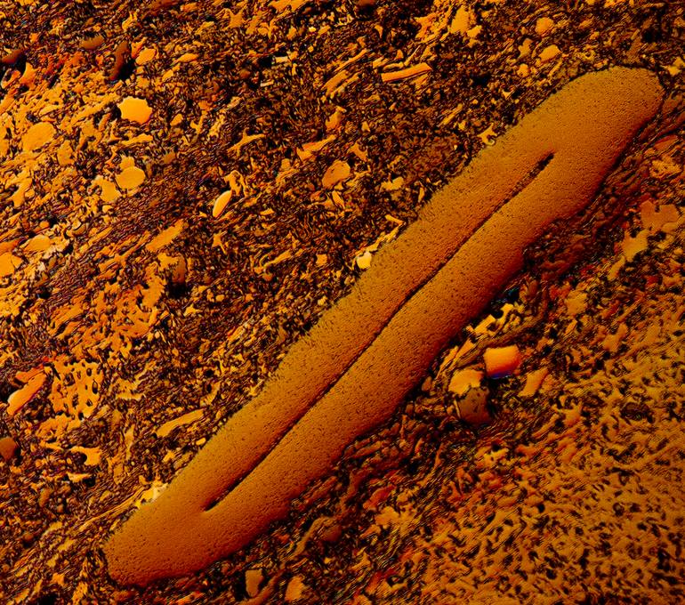 Original Conceptual Science/Technology Photography by Antonio Romero