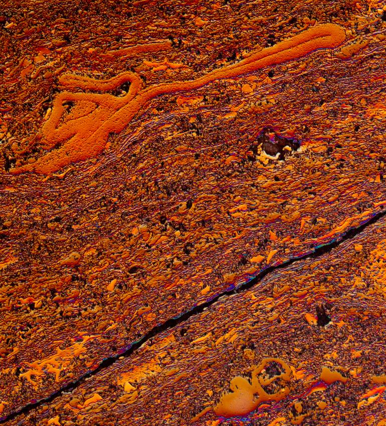 Original Conceptual Nature Photography by Antonio Romero