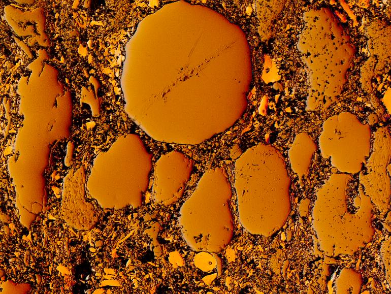 Original Conceptual Nature Photography by Antonio Romero