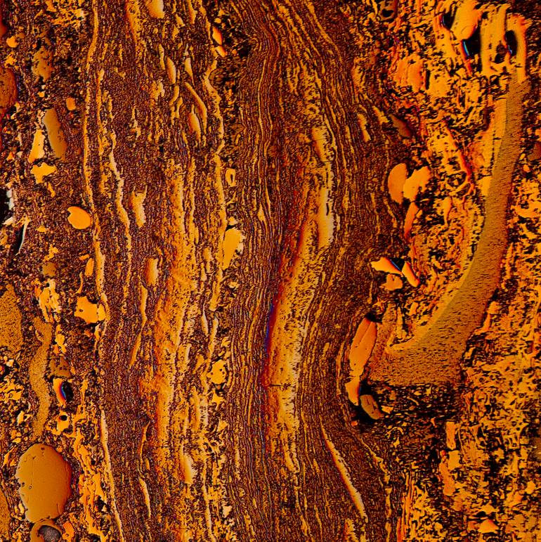 Original Conceptual Nature Photography by Antonio Romero