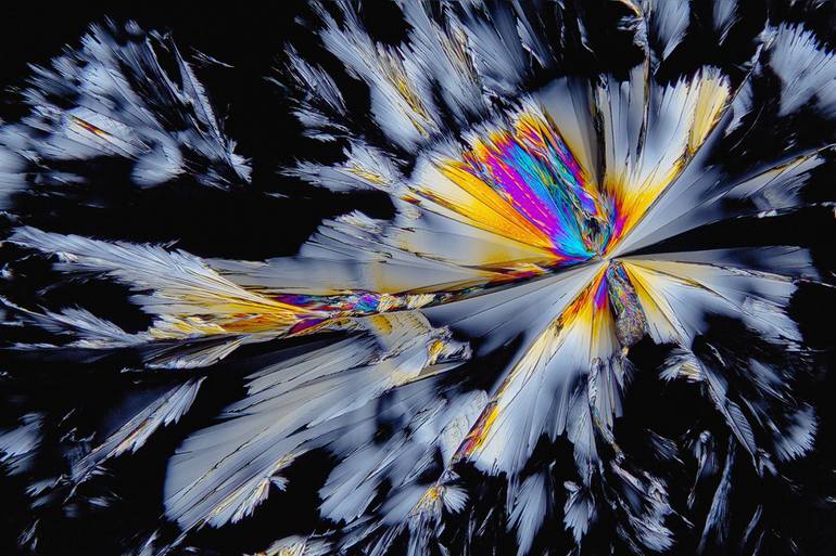 Original Fantasy Photography by Antonio Romero | Abstract Art on Paper | fluoxetine #4 (ephemeral butterfly) - Limited Edition of 30
